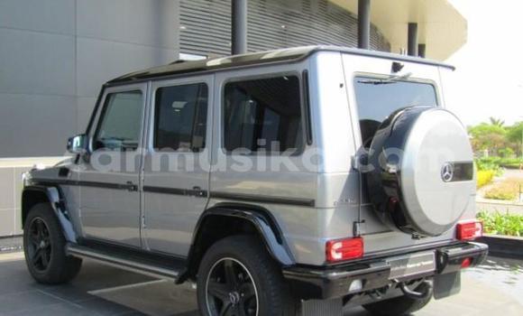 Tenga Tsaru Mercedes‒Benz G-klasse Sirivha Mota in Bulawayo in Bulawayo Tenga Tsaru Mercedes‒Benz G-klasse Sirivha Mota in Bulawayo in Bulawayo