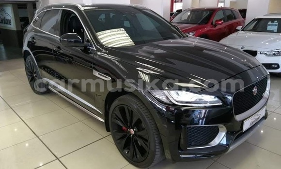 Nunua Ilio tumika Jaguar F-Pace Nyeusi Gari ndani ya Beitbridge nchini Matabeleland Kusini