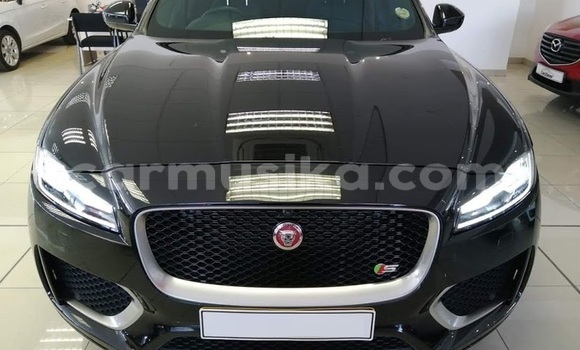 Acheter Occasion Voiture Jaguar F-Pace Noir à Beitbridge, Matabeleland South Acheter Occasion Voiture Jaguar F-Pace Noir à Beitbridge, Matabeleland South
