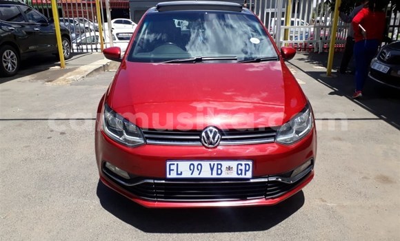 Tenga Tsaru Volkswagen Polo Tsvuku Mota in Beitbridge in Matabeleland South Tenga Tsaru Volkswagen Polo Tsvuku Mota in Beitbridge in Matabeleland South