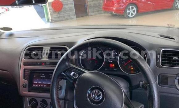 Tenga Tsaru Volkswagen Polo Sirivha Mota in Beitbridge in Matabeleland South Tenga Tsaru Volkswagen Polo Sirivha Mota in Beitbridge in Matabeleland South