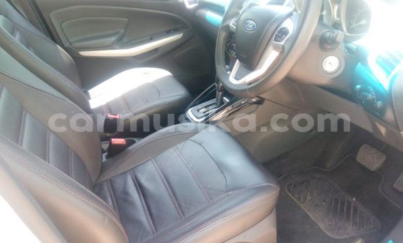 Tenga Tsaru Ford EcoSport Chena Mota in Beitbridge in Matabeleland South Tenga Tsaru Ford EcoSport Chena Mota in Beitbridge in Matabeleland South