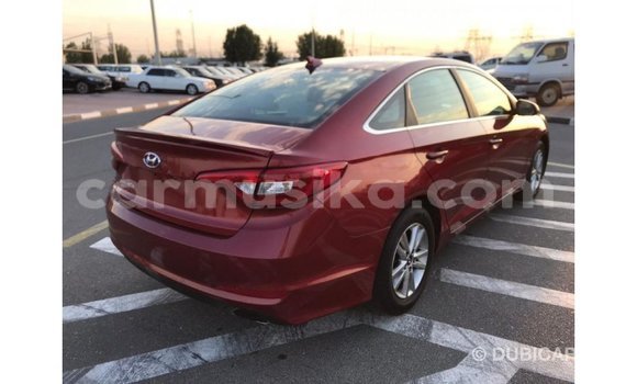 Tenga Imported Hyundai Sonata Tsvuku Mota in Import - Dubai in Harare Tenga Imported Hyundai Sonata Tsvuku Mota in Import - Dubai in Harare