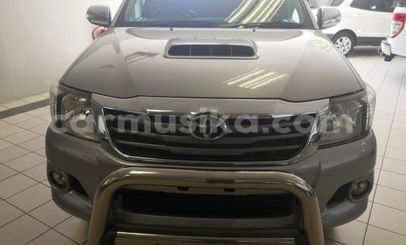 Acheter Occasion Voiture Toyota Hilux Gris à Beitbridge, Matabeleland South Acheter Occasion Voiture Toyota Hilux Gris à Beitbridge, Matabeleland South
