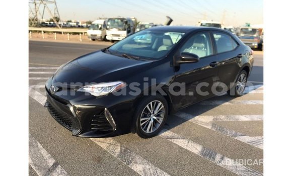 Tenga Imported Toyota Corolla Nhema Mota in Import - Dubai in Harare Tenga Imported Toyota Corolla Nhema Mota in Import - Dubai in Harare