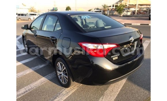 Tenga Imported Toyota Corolla Nhema Mota in Import - Dubai in Harare Tenga Imported Toyota Corolla Nhema Mota in Import - Dubai in Harare