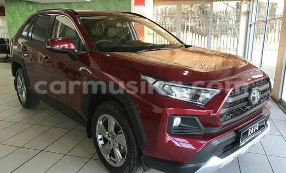 Nunua Ilio tumika Toyota RAV4 Nyekundu Gari ndani ya Beitbridge nchini Matabeleland Kusini Nunua Ilio tumika Toyota RAV4 Nyekundu Gari ndani ya Beitbridge nchini Matabeleland Kusini