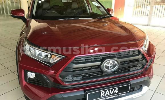 Nunua Ilio tumika Toyota RAV4 Nyekundu Gari ndani ya Beitbridge nchini Matabeleland Kusini Nunua Ilio tumika Toyota RAV4 Nyekundu Gari ndani ya Beitbridge nchini Matabeleland Kusini