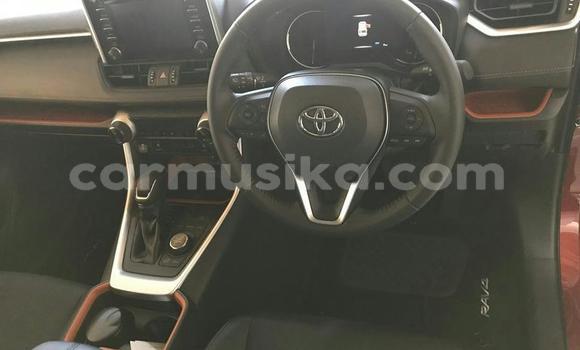 Nunua Ilio tumika Toyota RAV4 Nyekundu Gari ndani ya Beitbridge nchini Matabeleland Kusini Nunua Ilio tumika Toyota RAV4 Nyekundu Gari ndani ya Beitbridge nchini Matabeleland Kusini