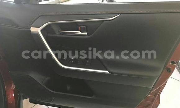 Nunua Ilio tumika Toyota RAV4 Nyekundu Gari ndani ya Beitbridge nchini Matabeleland Kusini Nunua Ilio tumika Toyota RAV4 Nyekundu Gari ndani ya Beitbridge nchini Matabeleland Kusini