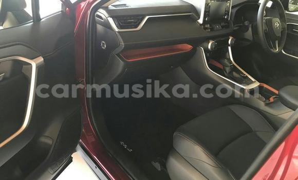 Nunua Ilio tumika Toyota RAV4 Nyekundu Gari ndani ya Beitbridge nchini Matabeleland Kusini Nunua Ilio tumika Toyota RAV4 Nyekundu Gari ndani ya Beitbridge nchini Matabeleland Kusini