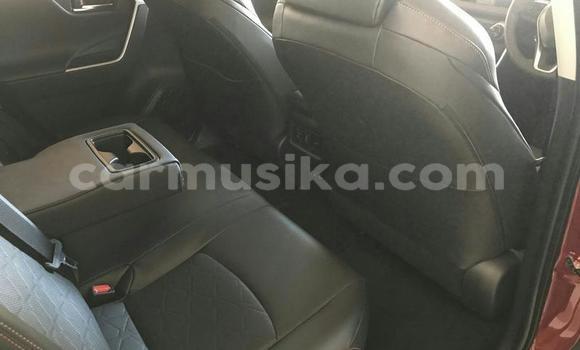 Nunua Ilio tumika Toyota RAV4 Nyekundu Gari ndani ya Beitbridge nchini Matabeleland Kusini Nunua Ilio tumika Toyota RAV4 Nyekundu Gari ndani ya Beitbridge nchini Matabeleland Kusini