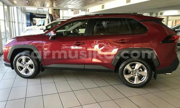 Nunua Ilio tumika Toyota RAV4 Nyekundu Gari ndani ya Beitbridge nchini Matabeleland Kusini Nunua Ilio tumika Toyota RAV4 Nyekundu Gari ndani ya Beitbridge nchini Matabeleland Kusini
