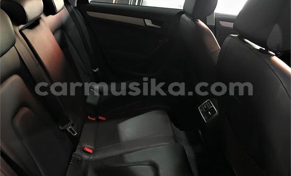 Tenga Tsaru Audi A4 Nhema Mota in Mapopoma eVhitori in Matabeleland North Tenga Tsaru Audi A4 Nhema Mota in Mapopoma eVhitori in Matabeleland North