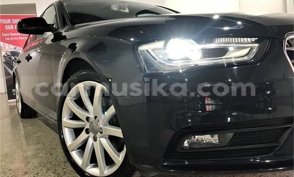 Tenga Tsaru Audi A4 Nhema Mota in Mapopoma eVhitori in Matabeleland North Tenga Tsaru Audi A4 Nhema Mota in Mapopoma eVhitori in Matabeleland North