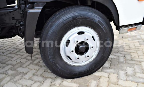 Acheter Occasion Utilitaire Hino 300 Series Blanc à Beitbridge, Matabeleland South Acheter Occasion Utilitaire Hino 300 Series Blanc à Beitbridge, Matabeleland South