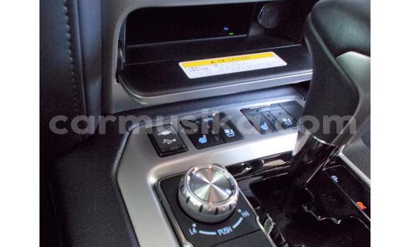 Acheter Occasion Voiture Toyota Land Cruiser Prado Gris à Beitbridge, Matabeleland South Acheter Occasion Voiture Toyota Land Cruiser Prado Gris à Beitbridge, Matabeleland South