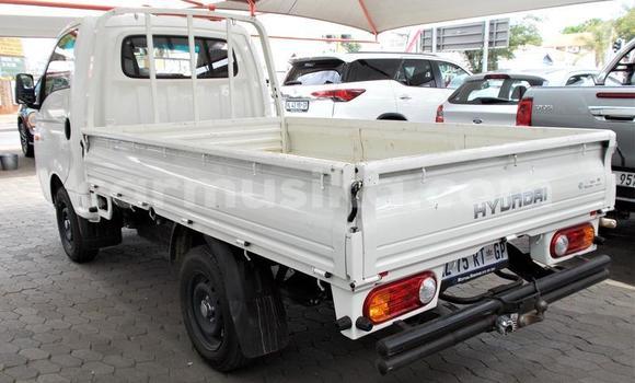 Buy Used Hyundai H1 White Car in Beitbridge in Matabeleland South Buy Used Hyundai H1 White Car in Beitbridge in Matabeleland South