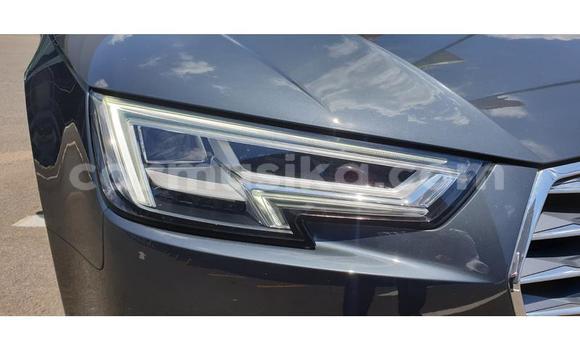 Nunua Ilio tumika Audi A4 Nyingine Gari ndani ya Bulawayo nchini Bulawayo Nunua Ilio tumika Audi A4 Nyingine Gari ndani ya Bulawayo nchini Bulawayo