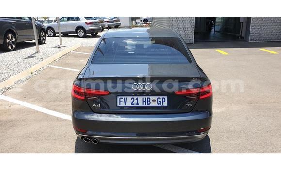 Nunua Ilio tumika Audi A4 Nyingine Gari ndani ya Bulawayo nchini Bulawayo Nunua Ilio tumika Audi A4 Nyingine Gari ndani ya Bulawayo nchini Bulawayo