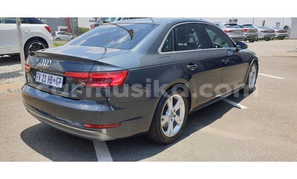 Nunua Ilio tumika Audi A4 Nyingine Gari ndani ya Bulawayo nchini Bulawayo Nunua Ilio tumika Audi A4 Nyingine Gari ndani ya Bulawayo nchini Bulawayo