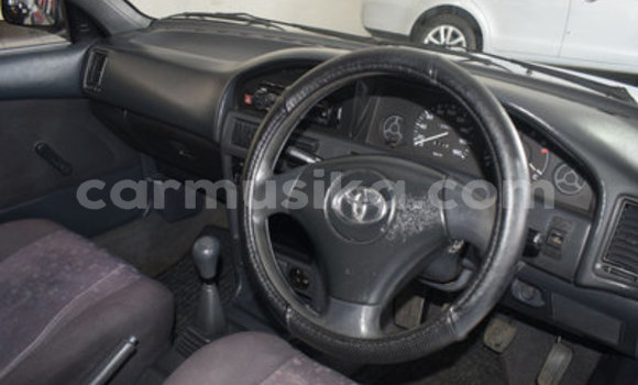 Acheter Occasion Voiture Toyota Corolla Gris à Bulawayo, Bulawayo Acheter Occasion Voiture Toyota Corolla Gris à Bulawayo, Bulawayo
