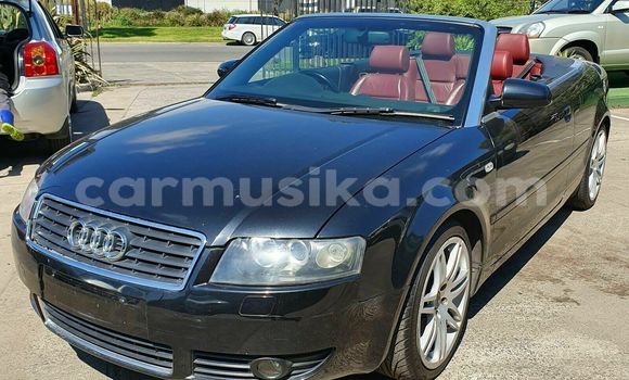 Tenga Tsaru Audi A4 Nhema Mota in Bulawayo in Bulawayo Tenga Tsaru Audi A4 Nhema Mota in Bulawayo in Bulawayo