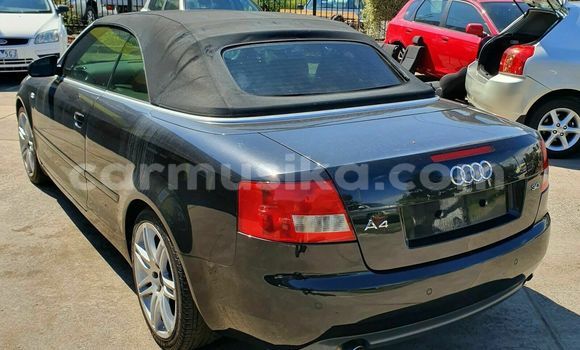 Tenga Tsaru Audi A4 Nhema Mota in Bulawayo in Bulawayo Tenga Tsaru Audi A4 Nhema Mota in Bulawayo in Bulawayo