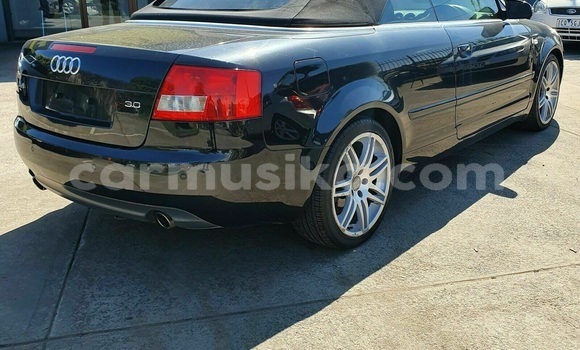 Tenga Tsaru Audi A4 Nhema Mota in Bulawayo in Bulawayo Tenga Tsaru Audi A4 Nhema Mota in Bulawayo in Bulawayo