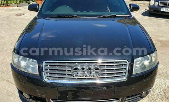 Tenga Tsaru Audi A4 Nhema Mota in Bulawayo in Bulawayo Tenga Tsaru Audi A4 Nhema Mota in Bulawayo in Bulawayo