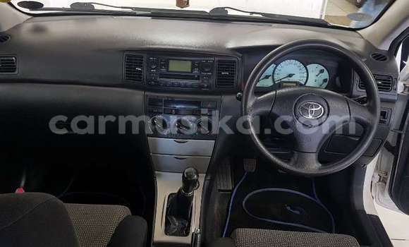 Acheter Occasion Voiture Toyota Runx Blanc à Beitbridge, Matabeleland South Acheter Occasion Voiture Toyota Runx Blanc à Beitbridge, Matabeleland South