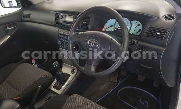 Acheter Occasion Voiture Toyota Runx Blanc à Beitbridge, Matabeleland South Acheter Occasion Voiture Toyota Runx Blanc à Beitbridge, Matabeleland South