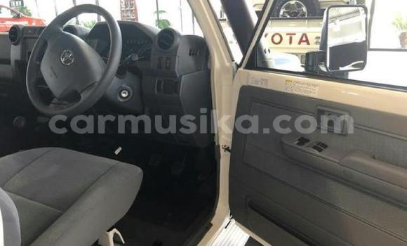 Tenga Tsaru Toyota Land Cruiser Chena Mota in Beitbridge in Matabeleland South Tenga Tsaru Toyota Land Cruiser Chena Mota in Beitbridge in Matabeleland South