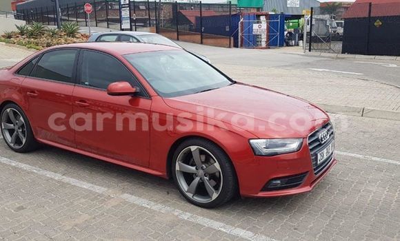 Tenga Tsaru Audi A4 Tsvuku Mota in Beitbridge in Matabeleland South Tenga Tsaru Audi A4 Tsvuku Mota in Beitbridge in Matabeleland South