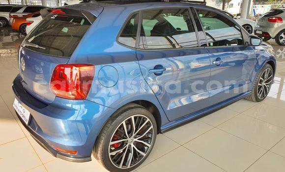 Buy Used Volkswagen Polo GTI Blue Car in Beitbridge in Matabeleland South Buy Used Volkswagen Polo GTI Blue Car in Beitbridge in Matabeleland South