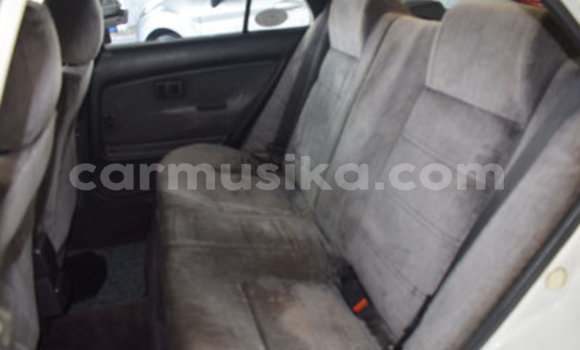 Acheter Occasion Voiture Toyota Corolla Blanc à Bulawayo, Bulawayo Acheter Occasion Voiture Toyota Corolla Blanc à Bulawayo, Bulawayo