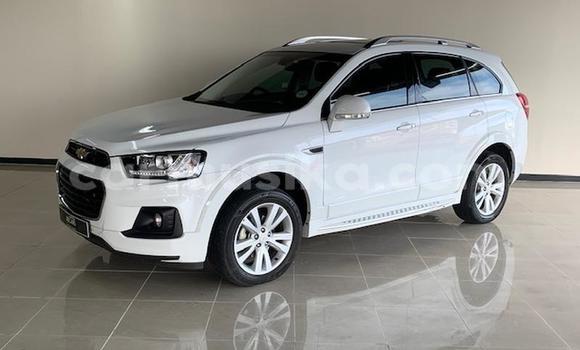 Nunua Ilio tumika Chevrolet Captiva Nyeupe Gari ndani ya Beitbridge nchini Matabeleland Kusini Nunua Ilio tumika Chevrolet Captiva Nyeupe Gari ndani ya Beitbridge nchini Matabeleland Kusini