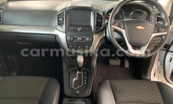 Nunua Ilio tumika Chevrolet Captiva Nyeupe Gari ndani ya Beitbridge nchini Matabeleland Kusini Nunua Ilio tumika Chevrolet Captiva Nyeupe Gari ndani ya Beitbridge nchini Matabeleland Kusini