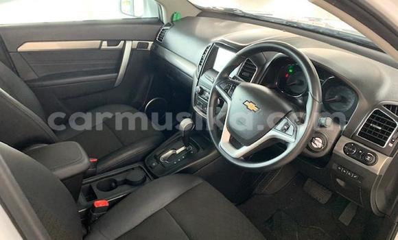 Nunua Ilio tumika Chevrolet Captiva Nyeupe Gari ndani ya Beitbridge nchini Matabeleland Kusini Nunua Ilio tumika Chevrolet Captiva Nyeupe Gari ndani ya Beitbridge nchini Matabeleland Kusini