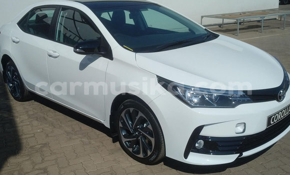 Tenga Tsaru Toyota Corolla Zvimwe Mota in Beitbridge in Matabeleland South Tenga Tsaru Toyota Corolla Zvimwe Mota in Beitbridge in Matabeleland South