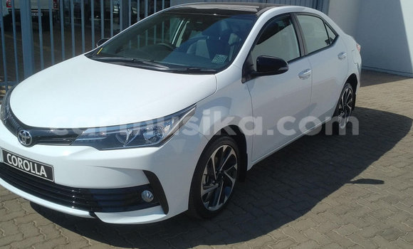 Tenga Tsaru Toyota Corolla Zvimwe Mota in Beitbridge in Matabeleland South Tenga Tsaru Toyota Corolla Zvimwe Mota in Beitbridge in Matabeleland South