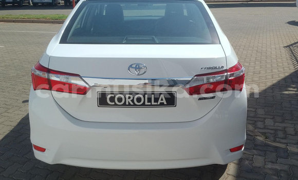 Tenga Tsaru Toyota Corolla Zvimwe Mota in Beitbridge in Matabeleland South Tenga Tsaru Toyota Corolla Zvimwe Mota in Beitbridge in Matabeleland South