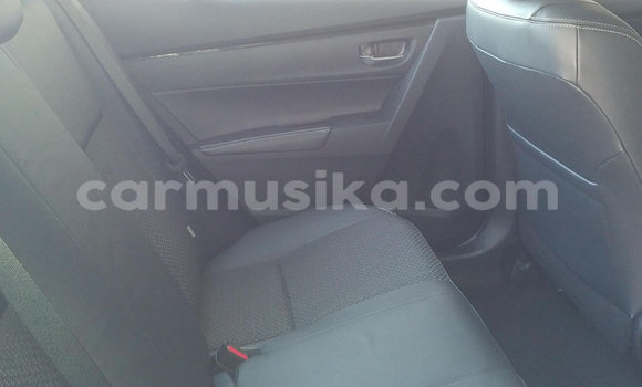 Tenga Tsaru Toyota Corolla Zvimwe Mota in Beitbridge in Matabeleland South Tenga Tsaru Toyota Corolla Zvimwe Mota in Beitbridge in Matabeleland South