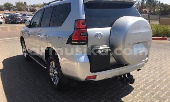 Buy Used Toyota Land Cruiser Prado White Car in Beitbridge in Matabeleland South Buy Used Toyota Land Cruiser Prado White Car in Beitbridge in Matabeleland South