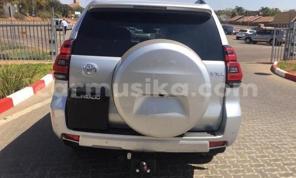 Buy Used Toyota Land Cruiser Prado White Car in Beitbridge in Matabeleland South Buy Used Toyota Land Cruiser Prado White Car in Beitbridge in Matabeleland South