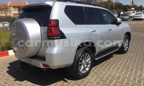 Buy Used Toyota Land Cruiser Prado White Car in Beitbridge in Matabeleland South Buy Used Toyota Land Cruiser Prado White Car in Beitbridge in Matabeleland South