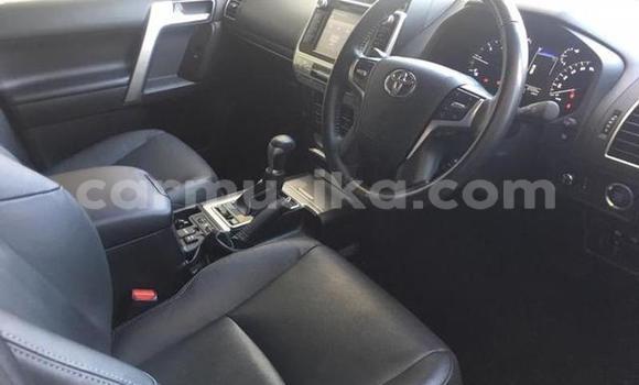 Buy Used Toyota Land Cruiser Prado White Car in Beitbridge in Matabeleland South Buy Used Toyota Land Cruiser Prado White Car in Beitbridge in Matabeleland South