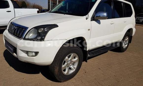 Buy Used Toyota Prado White Car in Beitbridge in Matabeleland South Buy Used Toyota Prado White Car in Beitbridge in Matabeleland South