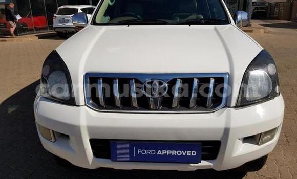 Buy Used Toyota Prado White Car in Beitbridge in Matabeleland South Buy Used Toyota Prado White Car in Beitbridge in Matabeleland South