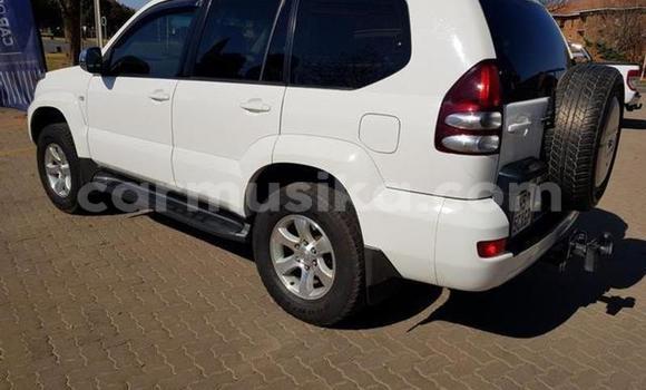 Buy Used Toyota Prado White Car in Beitbridge in Matabeleland South Buy Used Toyota Prado White Car in Beitbridge in Matabeleland South